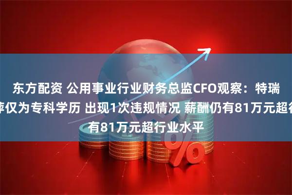 东方配资 公用事业行业财务总监CFO观察：特瑞斯王粉萍仅为专科学历 出现1次违规情况 薪酬仍有81万元超行业水平