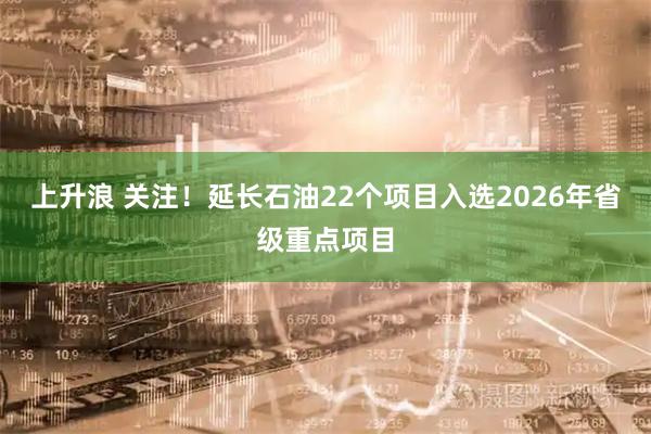 上升浪 关注！延长石油22个项目入选2026年省级重点项目