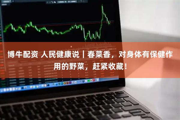 博牛配资 人民健康说｜春菜香，对身体有保健作用的野菜，赶紧收藏！