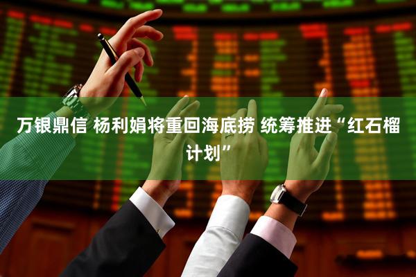 万银鼎信 杨利娟将重回海底捞 统筹推进“红石榴计划”