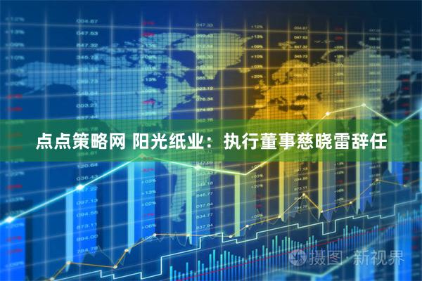 点点策略网 阳光纸业：执行董事慈晓雷辞任